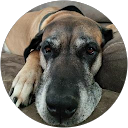 Kellie M. profile picture